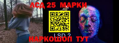 стаф Аргун