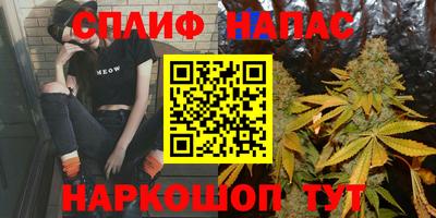 стаф Аргун
