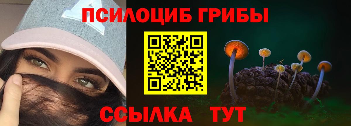 Галлюциногенные грибы прущие грибы  цены   Белая Калитва  Псилоцибиновые грибы мухоморы  Вход с VPN 